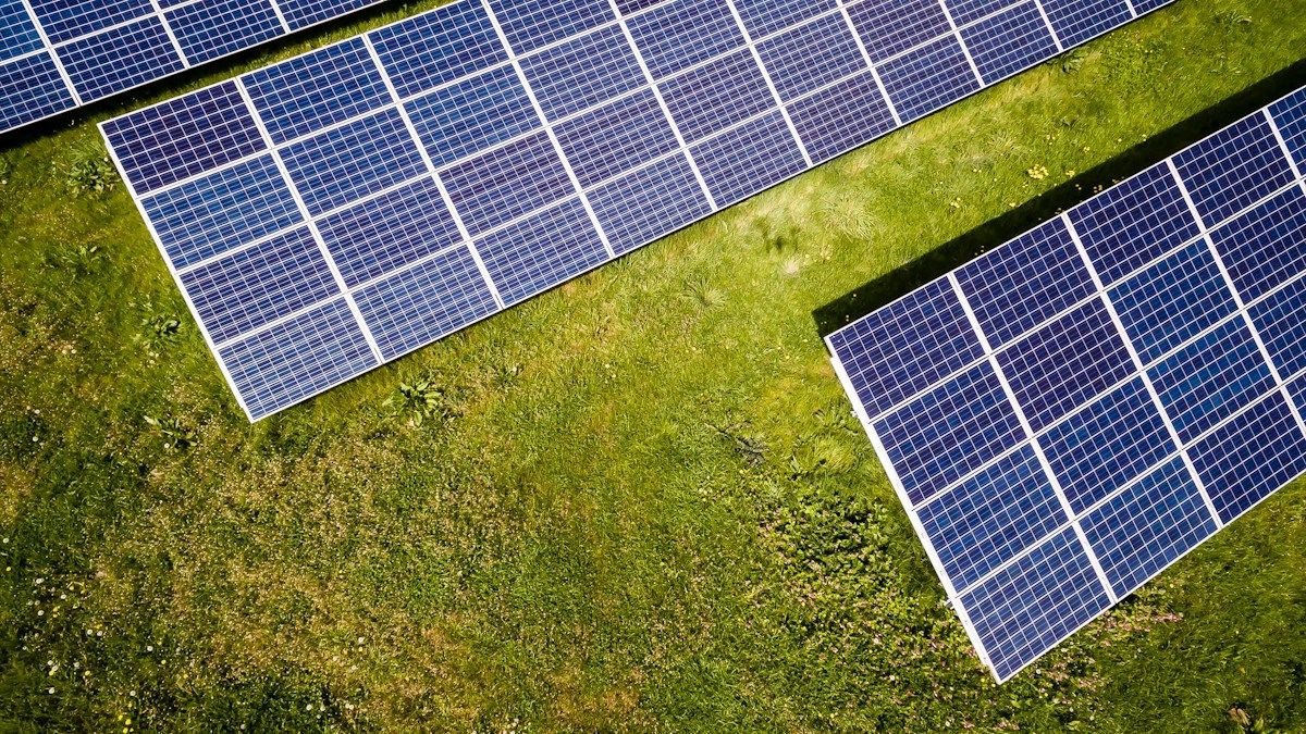 Electricity network infrastructure supporting essential services